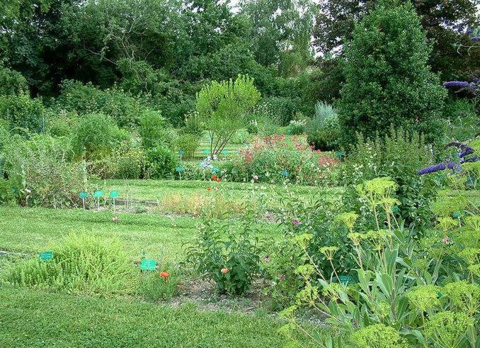 Jardin botanique de la Faculté de Pharmacie, Lille, France, France